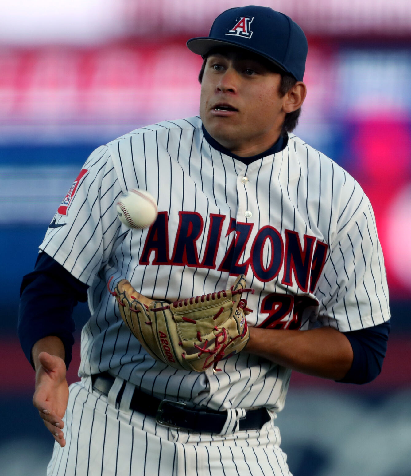 University of Arizona vs Utah